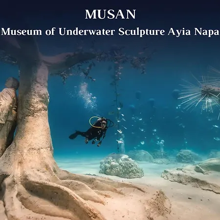 Napa Seaview - 4 Ayía Nápa